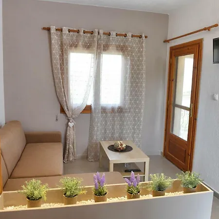 Elaionas Apt. Psakoudia Exterior photo