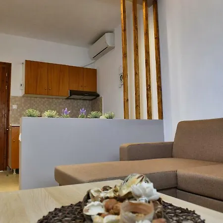 Elaionas Apt. Psakoudia Exterior photo