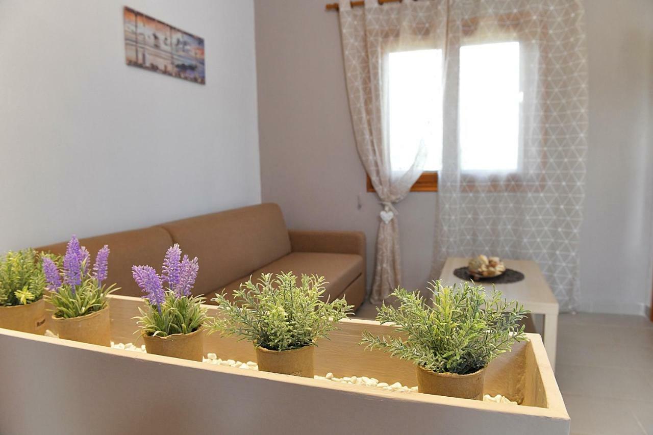 Apartment Elaionas Apt. Psakoudia